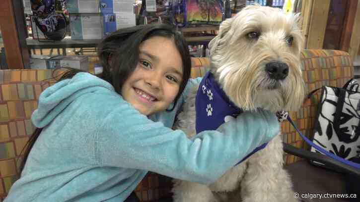 'Like being in heaven': PALS therapy program brings joy to Calgary hospital patients