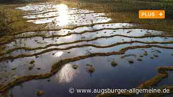 Debatte um Russland-Vortrag: Fotograf wittert Zensur im Edwin-Scharff-Haus