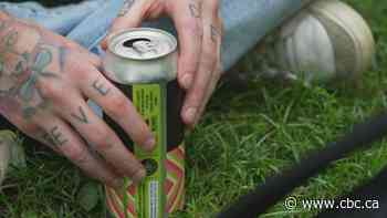 Toronto one step closer to permanently allowing drinking in some parks