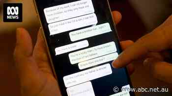 After becoming victim to a 'pig butchering' scam, Troy decided to join a group fighting back