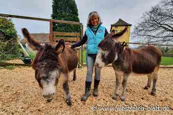 Tausende Biker aus ganz Europa und 22 Tiere lieben die Tonenburg