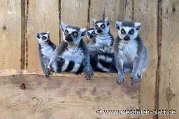 Osteraktion im Tierpark Herford