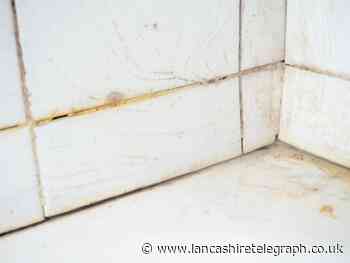 How to clean black mould in the shower? 35p trick to help