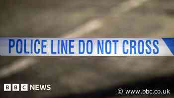 Boy, 4, dies after being hit by minibus