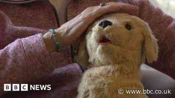 Robot pets bring comfort to care home residents