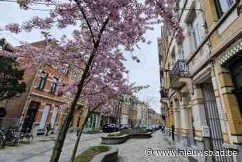 Paasactie in de Pieter Reypenslei, handelaren verloten zeventien chocolade paashazen