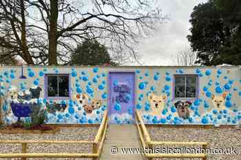 Zayn Malik-supported Hopefield Animal Sanctuary to reopen