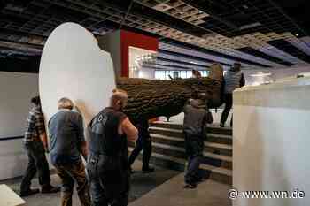 Wie sieben Menschen eine große Eiche tragen können