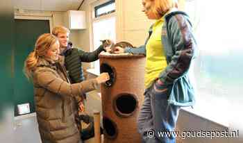 Kijkje achter de schermen tijdens open dag Dierenopvangcentrum Gouda