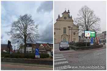 Lindeboom verhuist van Markt naar De Wiek