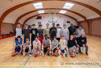 Basketbalclub Willibies organiseert crowdfunding: “Weinig tot geen financiële back-up voor sociale werking”