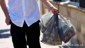 Canadian economy grew 0.6% in January, says StatsCan