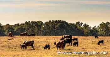 Bill seeks fairer market prices for Livestock Indemnity Program