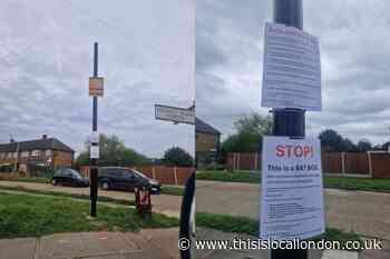 Rainham ULEZ activists use bat box in bid to block camera