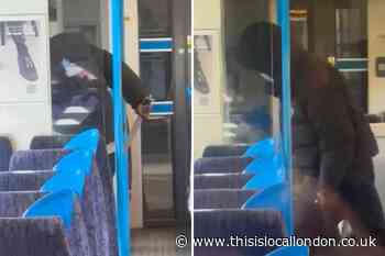 Beckenham Junction train stabbing: 'Worrying madness needs to stop'
