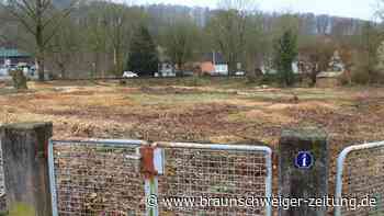 Kahlschlag in Osterode: Darum wurde diese Fläche gerodet