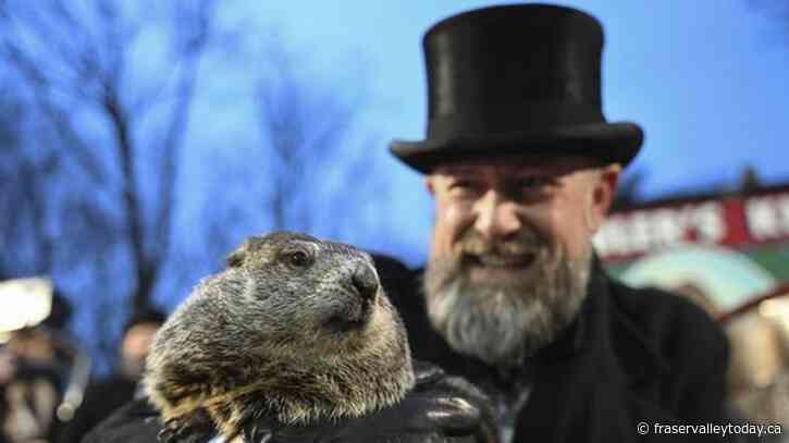 Punxsutawney Phil, the spring-predicting groundhog, and wife Phyliss are parents of 2 babies