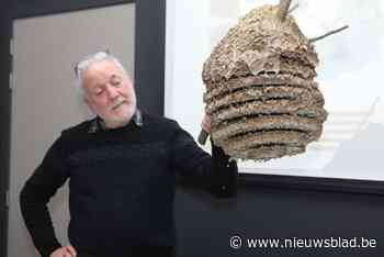 Imkers in de wolken na massale steun in strijd tegen Aziatische hoornaars: “Weinig gemeenten doen ons dit na”