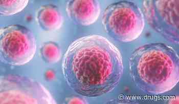 Improvements Seen in Post-Allo-HCT Outcomes for Seniors With Leukemia