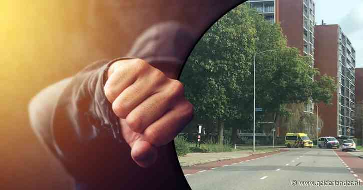Man mishandelt zeker zes mensen, klimt zelfs over schuttingen en slaat zwangere vrouw met kind op de arm neer