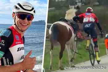 VIDEO. Vlaamse belofterenner neemt losgelopen paard in volle koers bij de teugels: “Ik ben groot geworden op een manège”