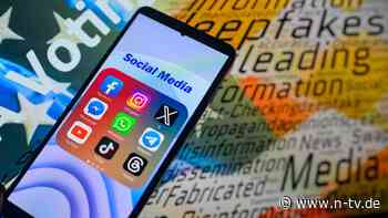 Was bewirkt Desinformation?: Wie Fake News Wahlen beeinflussen können