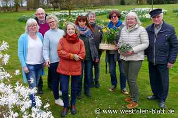 Von der Staude bis zur Samenmischung: Gartenmarkt auf Gut Hiddenhausen