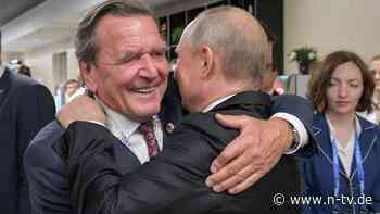 Um Ukraine-Krieg zu beenden: Kreml begrüßt Schröders Hilfsangebot