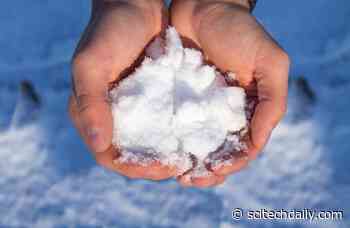 Long-Standing Mystery Solved – Researchers Uncover Protein Responsible for Cold Sensation
