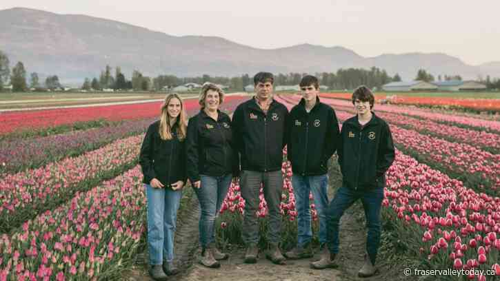 Harrison Tulip Festival announces opening date