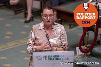 Zo bracht Ellen Samyn het er de voorbije jaren vanaf in het federaal parlement