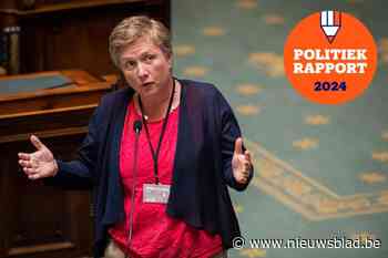 Zo bracht Dominiek Sneppe het er de voorbije jaren vanaf in het federaal parlement