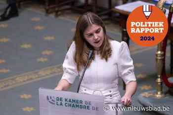 Zo bracht Vicky Reinaert het er de voorbije jaren vanaf in het federaal parlement