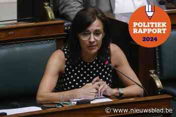 Zo bracht Katrien Houtmeyers het er de voorbije jaren vanaf in het federaal parlement