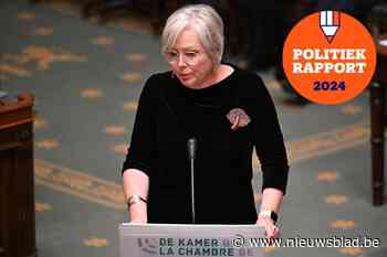 Zo bracht Leen Dierick het er de voorbije jaren vanaf in het federaal parlement
