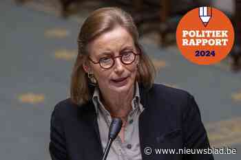 Zo bracht Sigrid Goethals het er de voorbije jaren vanaf in het federaal parlement