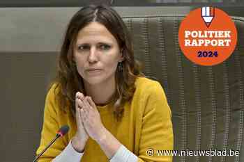 Zo bracht An Moerenhout het er de voorbije jaren vanaf in het Vlaams parlement