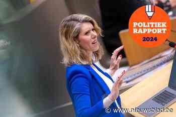 Zo bracht Els Ampe  het er de voorbije jaren vanaf in het Vlaams parlement