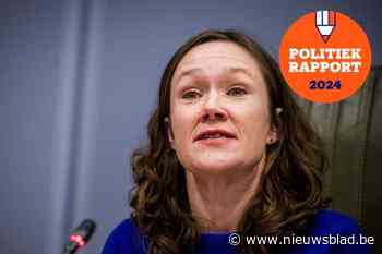 Zo bracht Hannelore Goeman het er de voorbije jaren vanaf in het Vlaams parlement