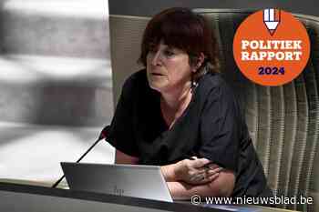 Zo bracht Ann De Martelaer het er de voorbije jaren vanaf in het Vlaams parlement