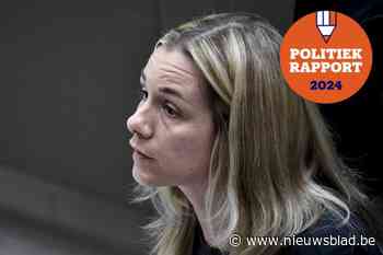 Zo bracht Katja Verheyen het er de voorbije jaren vanaf in het Vlaams parlement