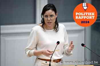 Zo bracht Sarah Smeyers het er de voorbije jaren vanaf in het Vlaams parlement