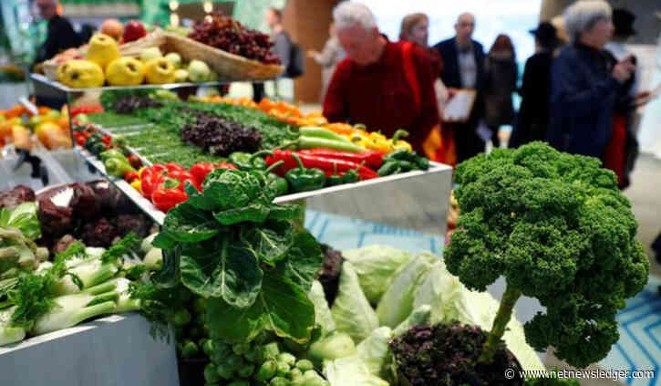 Thunder Bay Shoppers’ Guide to Savvy Savings: April’s Best Grocery Deals Unveiled