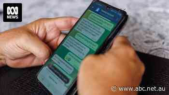 Dianna messaged Paul out of the blue. What looked like happiness cost him nearly $500k