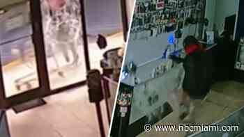 Video shows suspect using shopping cart to break into Hollywood cellphone shop