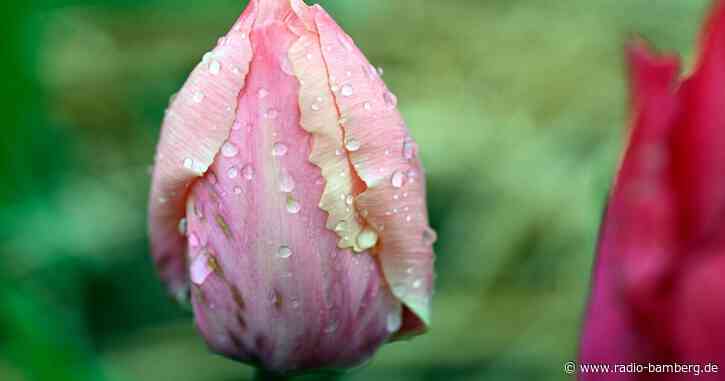 Wolken und Saharastaub: Das Osterwetter wird wechselhaft