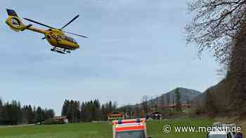Waldarbeiter quetscht sich Hand ein: Drei Finger bei Forstunfall amputiert