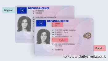 Fraudsters are using AI to churn out fake IDs before selling them to under-18s for as little as £12 - and experts say supermarkets, pubs and airports need to be on 'red alert'