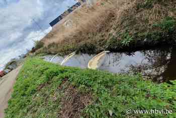 Grote olievlek op beek en sterke geurhinder: “Dit is niet de eerste keer”