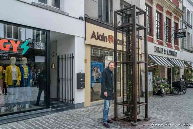 Klimplanten in cortenstalen constructies vervangen bomen: “Daarmee is laatste stap in de heraanleg van de Zoutstraten afgerond”